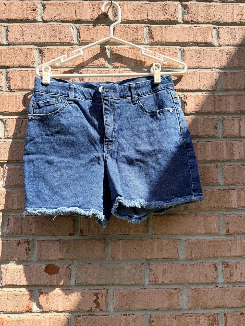 Democracy Blue Denim Frayed Hem Shorts